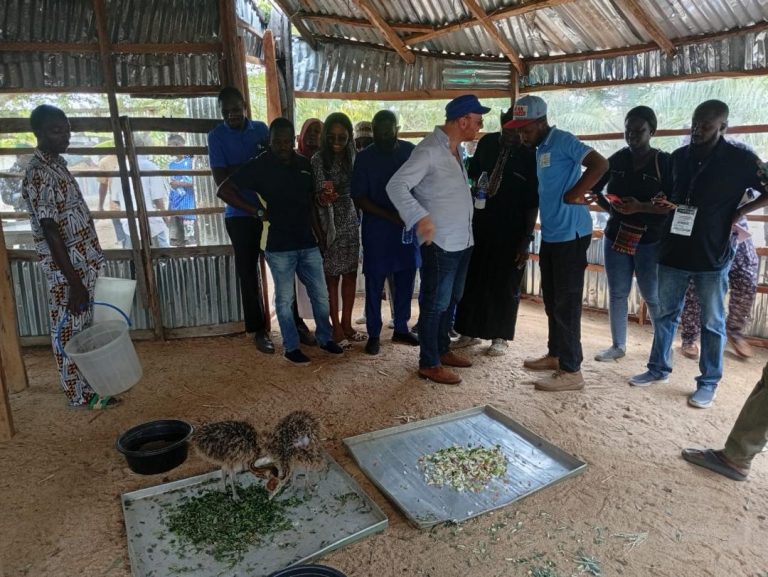 Field Trip - The ICID President with the Young Professionals at NFGCS Farm Kokona L.G.A Nasarawa State.