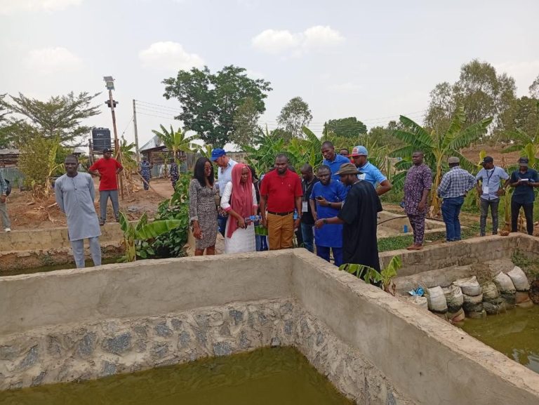 The Young Professionals at NFGCS Farm Kokona L.G.A Nasarawa State